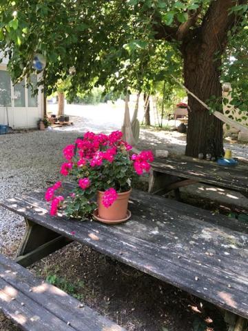 Agriresidence San Pietro Bibione Luaran gambar