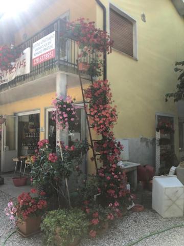 Agriresidence San Pietro Bibione Luaran gambar